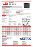 CSB GP 12170 Battery - GP12170