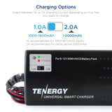 Tenergy Smart Universal Charger for NiMH/NiCd Battery Packs: (01025)