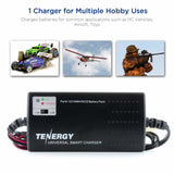 Tenergy Smart Universal Charger for NiMH/NiCd Battery Packs: (01025)