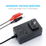 Tenergy TN600 Smart Charger for 6V & 12V Lead Acid Batteries (01600)