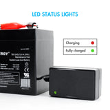 Tenergy TN600 Smart Charger for 6V & 12V Lead Acid Batteries (01600)