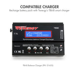 Tenergy NiMH 6V 2000mAh Side-by-Side Receiver Battery Pack (11106)