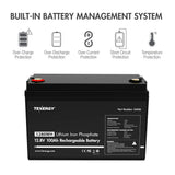 Tenergy LiFePO4 12.8V 100AH Deep Cycle Battery, Built-in 100A (34436)