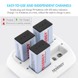 Combo: Tenergy TN136 4-bay 9V Smart Charger + 8pcs 9V 250mAh (90239)