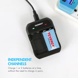 Combo: Tenergy TN141 2-Bay 9V Charger + NiMH 9V 250mAh (90258)