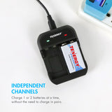 Combo: Tenergy TN141 2-bay 9V Charger + 2pcs Premium 9V 250mAh (90261)