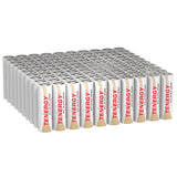100pcs Tenergy Alkaline AA Batteries (90656)