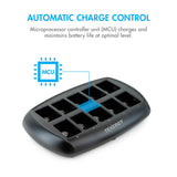 Tenergy TN295 10-Bay 9V Li-ion Battery Charger (96091)