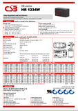 CSB HR 1234W F2 Battery - HR1234WF2